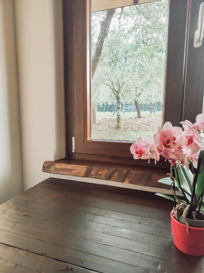ArceCasale Dei Ricordi住宿加早餐旅馆 外观 照片