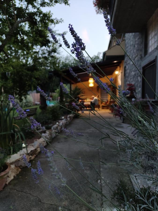 ArceCasale Dei Ricordi住宿加早餐旅馆 外观 照片