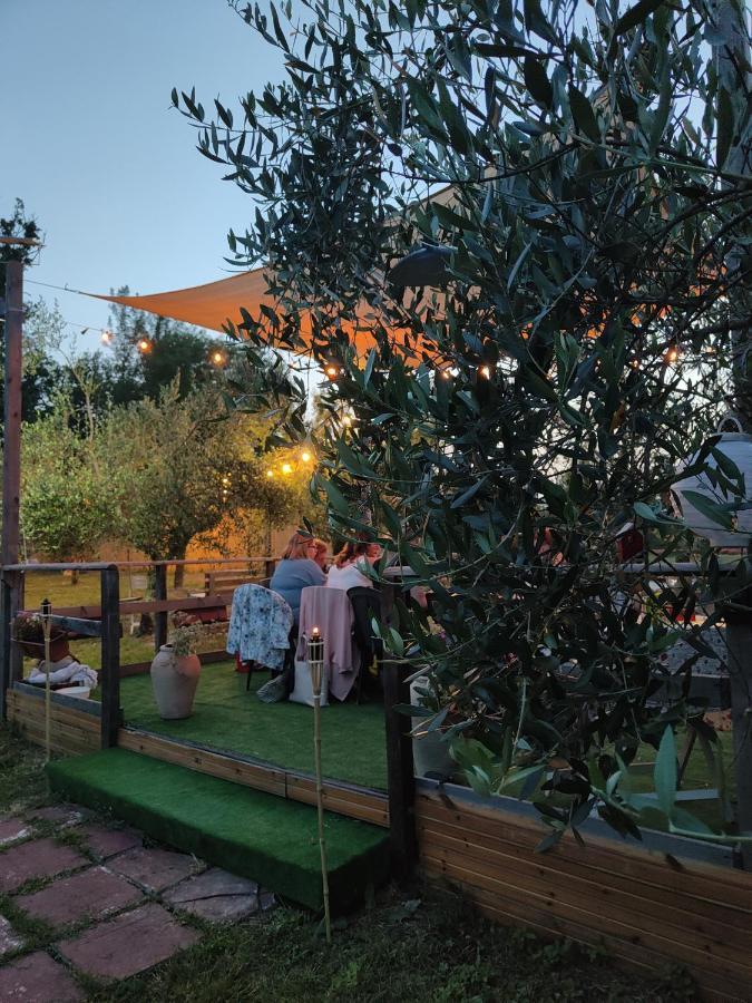 ArceCasale Dei Ricordi住宿加早餐旅馆 外观 照片